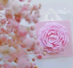 -禾馨·母婴护理月子中心(世纪大道店)