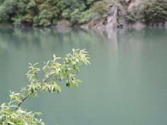 -叠溪松坪沟景区