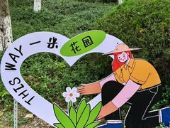 -金鸡湖桃花岛