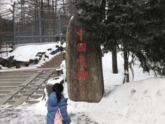 -横道河子东北虎林园
