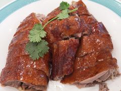 -椿记烧鹅(叠彩店)