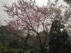 -堤角公园