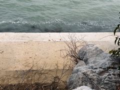 -贡湖湾湿地公园