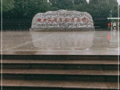 -中国西峡恐龙遗迹园