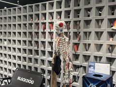 -Answer Fitness 答案健身(奥体店)