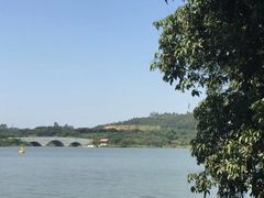-鹤之洲湿地公园