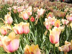 -长春公园(普阳街道)