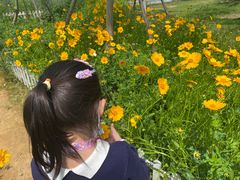 -武汉紫薇都市田园