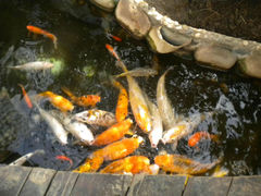 -上海大自然野生昆虫馆