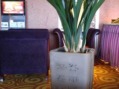 20150716_171602-厦门泰谷酒店(中山路镇海路地铁站店)