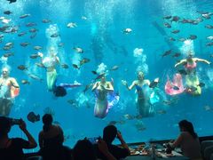 -瑞德姆美人鱼海底演艺主题餐厅(亚龙湾店)