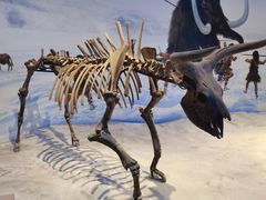 -辽宁古生物博物馆