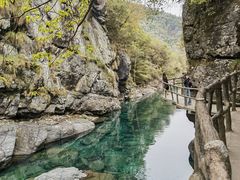 -石台牯牛降景区