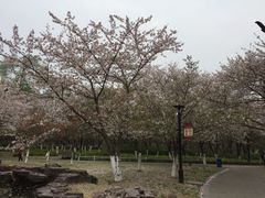 -范蠡湖公园