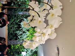 -Peet's Coffee皮爷咖啡(德基店)