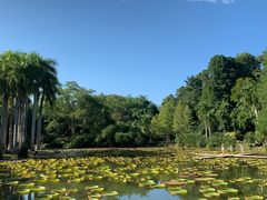 -中国科学院西双版纳热带植物园