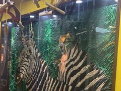 -杨梅红艺术教育(万象城校区)