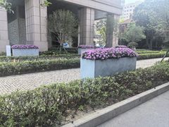 -上海交通大学医学院附属瑞金医院(总院)