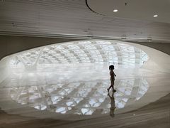 -凤凰中心