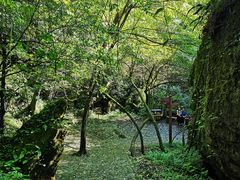 -山王坪喀斯特国家生态公园