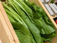 -番食园鲜食火锅(高新店)
