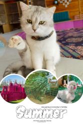 -萌宠亲子动物乐园(槐房万达店)