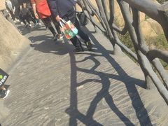 -嵖岈山风景区