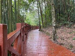 -广州市石门国家森林公园