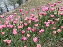 -石家庄市植物园