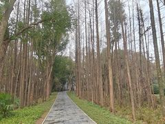 -东湖落雁景区