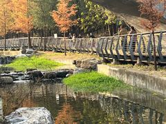 -白水寺森林公园
