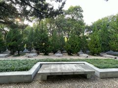 -菊花台公园