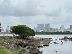-台场海滨公园船码头