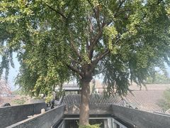 -自如ZSPACE四合院艺术餐厅