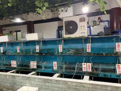 水产区-高坎一品甲鱼庄(两河店)