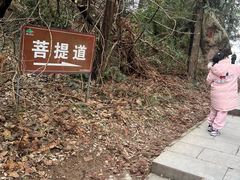 -冶父山国家森林公园