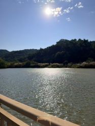 -致友月子会所旗舰店