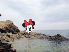 -皮口港