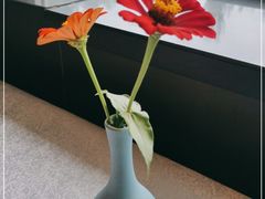 -金狮麟·新豫菜(杏石口路店)