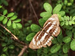-敬亭山风景名胜区