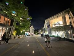 -陈鹏鹏潮汕菜(欢乐海岸 海边景观店)