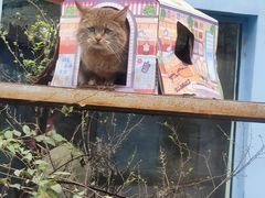 -青藏高原野生动物园