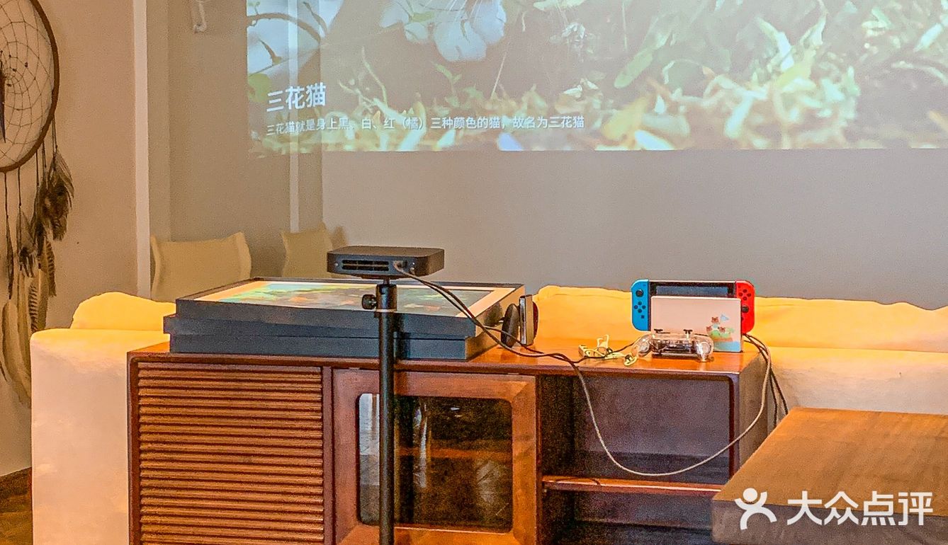 成都 | 夏天去的有氛围感的木质调小店