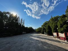 -晋祠公园