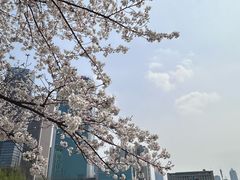 -西北湖绿化广场