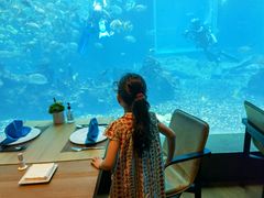 -海棠湾洲际-涛·海底餐厅·美人鱼·自助餐·海底隧道