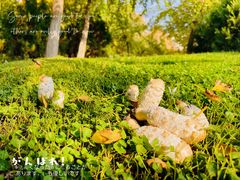 -长安大学(北校区)