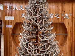 -北京鹿世界主题园