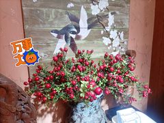 -四季厨房 鲁菜·孔府烤鸭(二环南路店)