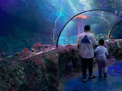 -沈阳海洋探索中心